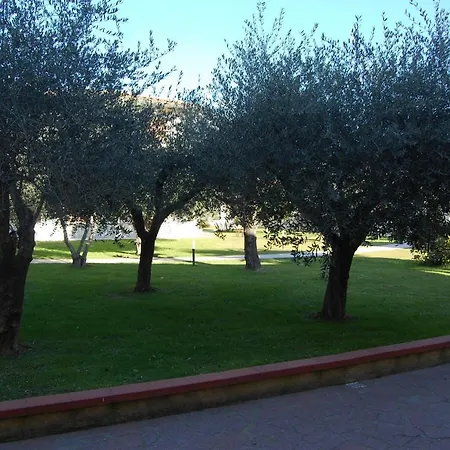 Il Pollino Pietrasanta